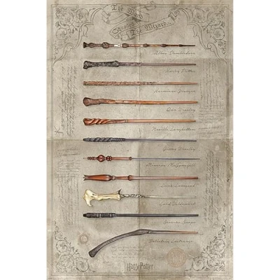 Afbeelding van Poster Harry Potter the Wand Chooses Wizard 61x91,5cm