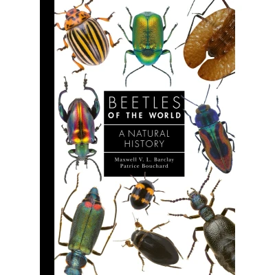 Afbeelding van Beetles of the World: A Natural History: 7