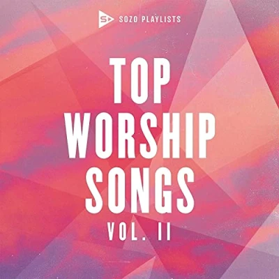 Afbeelding van Various Artists Top Worship Songs Vol 2 (CD)