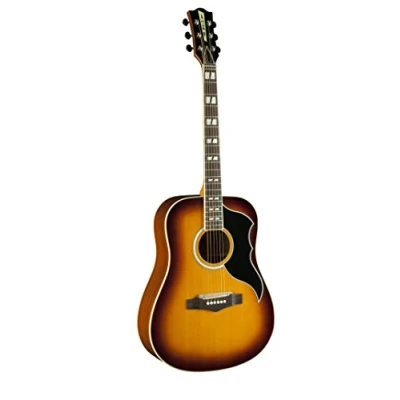Afbeelding van Eko RANGERVR6 EQ HB Dreadnought electro Honey B