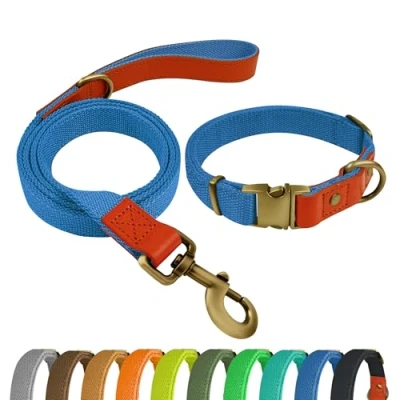 Afbeelding van Qianruida hondenhalsband en riem, set voor honden, halsband verstelbare kleine, middelgrote grote hemelsblauw, XL