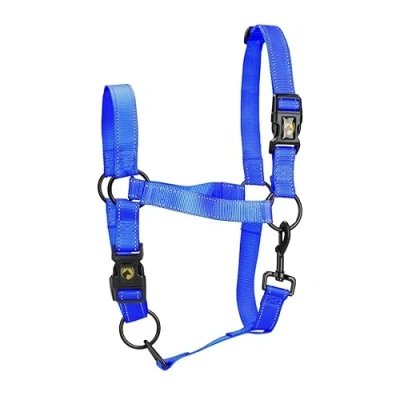 Afbeelding van Excellent Horse Premium Halster M Blauw