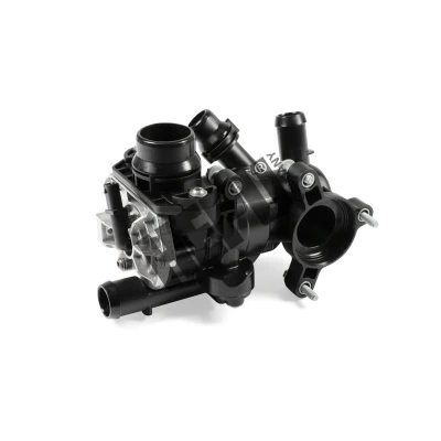 Afbeelding van Hepu Thermostaat TM1382