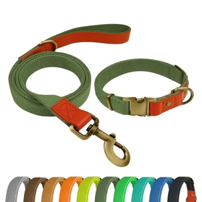 Afbeelding van QRDA Hondenhalsband en Riem Set Groen Militair Gepersonaliseerde Verstelbare Tactische voor Honden Kleine Middelgrote Grote