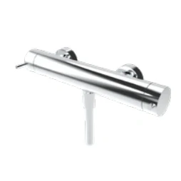 Afbeelding van Waterevolution Flow douchethermostaat met douchegarnituur rond RVS T140TNRIE