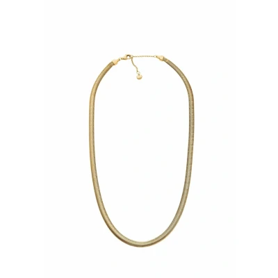 Afbeelding van Skagen SKJ1866710 Dames Collier 46cm Goudkleurig