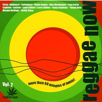 Afbeelding van Various Artists Reggae Now Vol. 2 (CD)
