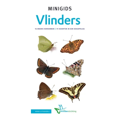 Afbeelding van Minigids Set Vlinders