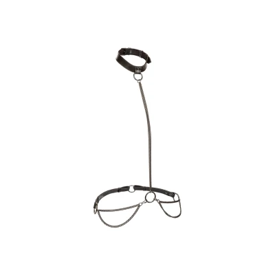 Afbeelding van CalExotics Euphoria Collection Plus Size Chain Halter/Collar &amp; Leash Zwart