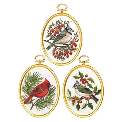 Afbeelding van Janlynn 4 0861 Borduurpakket Winter Vogels Gestikt In Floss44; 3 x inch. Set van