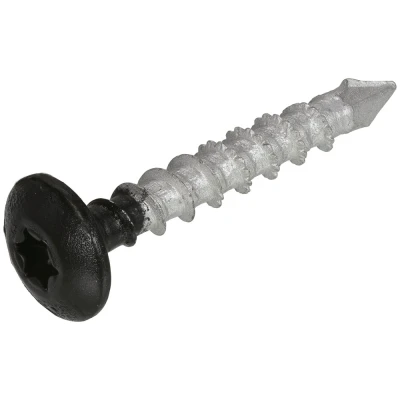 Afbeelding van Dynaplus Tuinbeslagschroeven 6.0x40mm AR Coating Met Zwarte Kop TX30 (50 stuks)