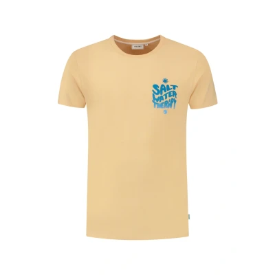 Afbeelding van Shiwi Tshirt print, Heren, Maat: Medium, Cayman peach
