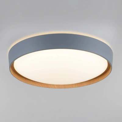Afbeelding van Paul Neuhaus Ronde plafondlamp Q Emilia grijs 6118 15