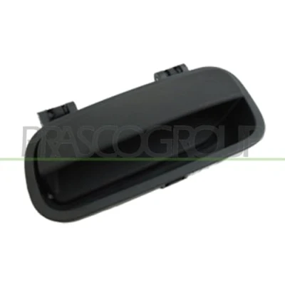 Afbeelding van Handgreep, interieur PRASCO CI9158501