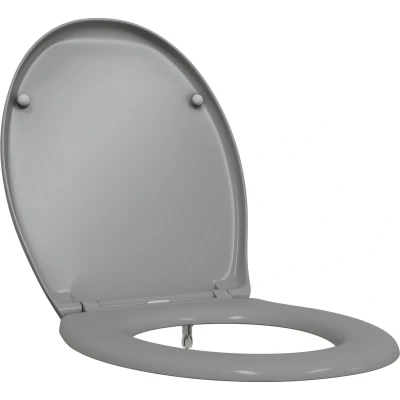 Afbeelding van vidaXL Snelle Ontgrendel Toiletzitting met Zachte Sluiting Duroplast Grijs