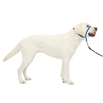 Afbeelding van PetSafe Gentle Leader halster, maat L, koningsblauw