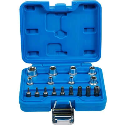 Afbeelding van BGS Torx doppen en bitset (E Type / T Star), 17 delig