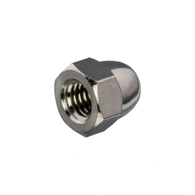 Afbeelding van Hoenderdaal Dopmoer RVS/A2 M16 (doos a 25st) DIN1587