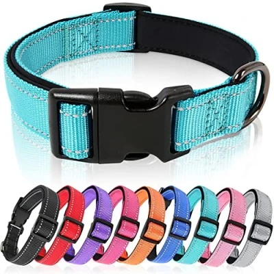 Afbeelding van HEELE Hondenhalsband, Verstelbare Reflecterende Hondenhalsband Gewatteerde Zachte Nylon Ademende Kraag voor Kleine Honden, Lichtgewicht Wandelen en Training Huisdier Kraag, Hemelsblauw, S