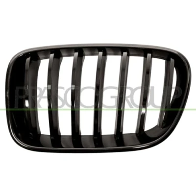 Afbeelding van Radiateurgrille PRASCO BM8052004
