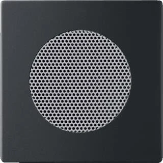 Afbeelding van Busch Jaeger 8253 885 centraalplaat luidspreker Future Linear mat zwart