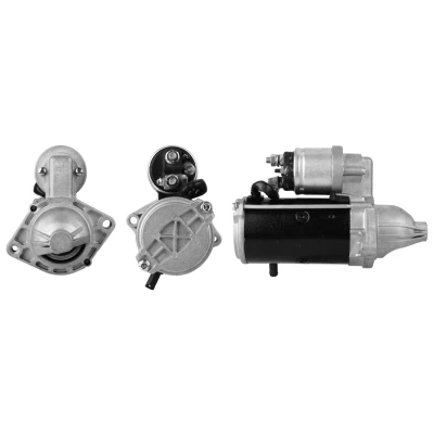 Afbeelding van Startmotor / Starter ELSTOCK 25 4020