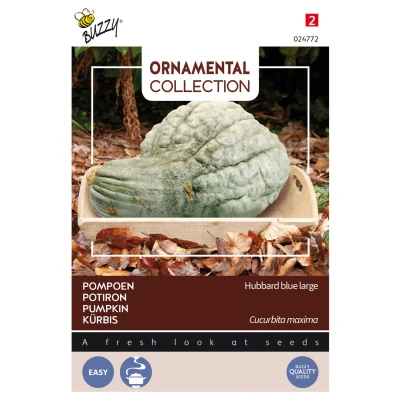 Afbeelding van Ornamental Pompoen Hubbard Blue