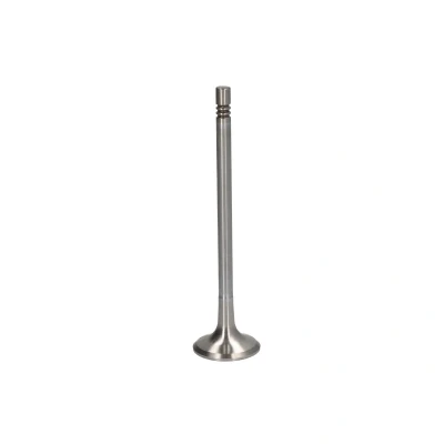 Afbeelding van Freccia Uitlaatklep R8067/BMARCR