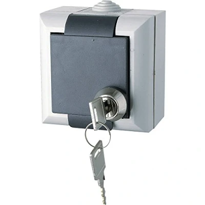 Afbeelding van GAO EFO600G/K Schakelprogramma voor vochtige ruimtes, geaard stopcontact, afsluitbaar, Business Line grijs