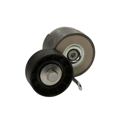 Afbeelding van Riemspanner, Poly V riem DAYCO APV1078
