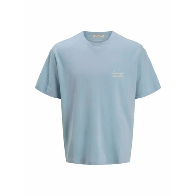 Afbeelding van JACK &amp; JONES Heren Joracapulco Type Tee Ss Crew Neck Mni, skyway, 116