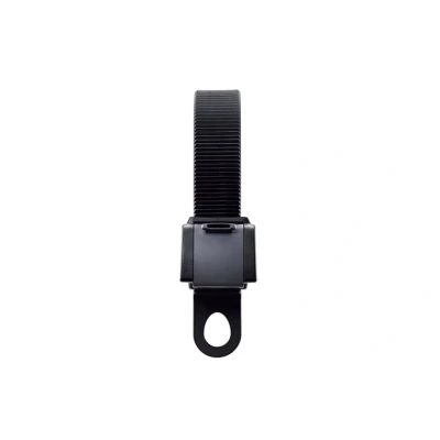 Afbeelding van Spanband Thule Ladder Holder