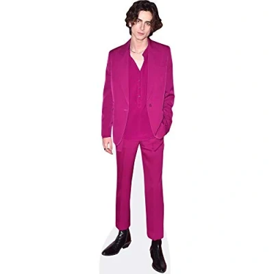 Afbeelding van Timothee Chalamet (Purple Suit) Levensgrote Knipsels