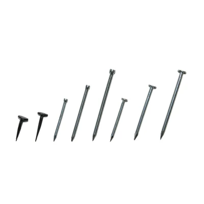 Afbeelding van Kids at work spijkers assortiment (750st)