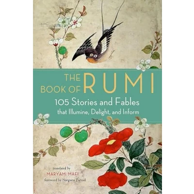 Afbeelding van The Book of Rumi: 105 Stories and Fables That Illumine, Delight, Inform