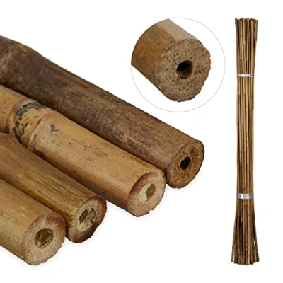 Afbeelding van Relaxdays bamboestokken set van 40 plantenstokken 105 cm tonkinstokken plantensteun