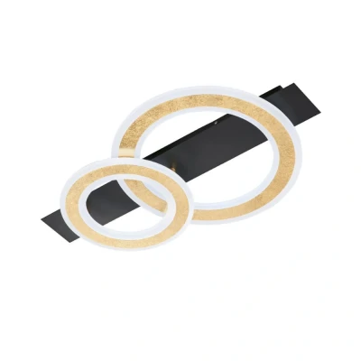 Afbeelding van Fischer &amp; Honsel Design plafondlamp Circle 2 21433