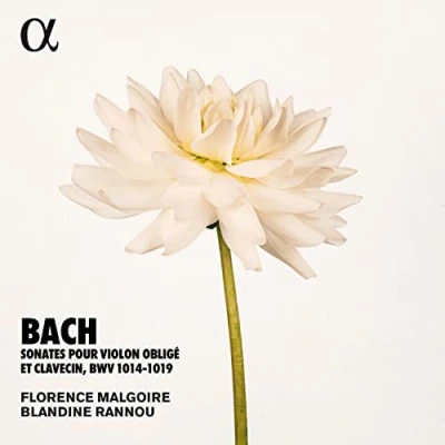 Afbeelding van Blandine Rannou Florence Malgoire Sonates Pour Violon Oblige Et Clavecin, Bwv 1014 1 (2 CD)