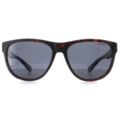 Afbeelding van Polaroid Pld 2156/S Cat Eye Kunststof Polariserend Unisex Zonnebril