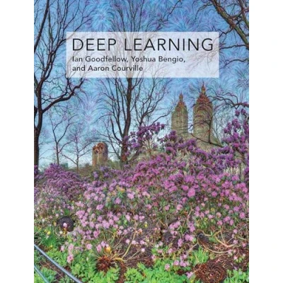 Afbeelding van Deep Learning