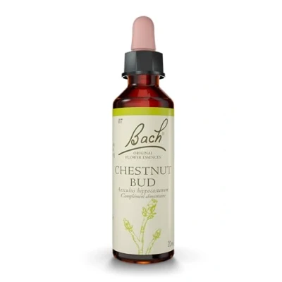 Afbeelding van Fleurs de Bach Original N7 Chestnut Bud 20 ml