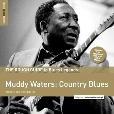 Afbeelding van Muddy Waters The Rough Guide To (LP)