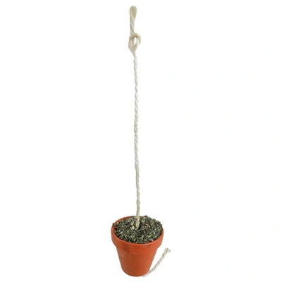 Afbeelding van Jr Farm Kleipot Grote Parkiet En Papegaai Vogelspeelgoed 10 x 13 19.5 cm 260 g