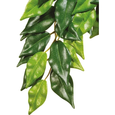 Afbeelding van Exo Terra Kunstplanten Reptielen Ficus L 22,5x4x80cm 1st