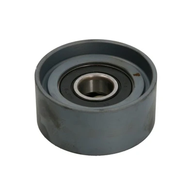 Afbeelding van Dayco Geleiderol (poly) V riem APV2403