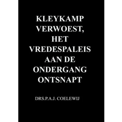 Afbeelding van Kleykamp verwoest, het Vredespaleis aan de ondergang ontsnapt
