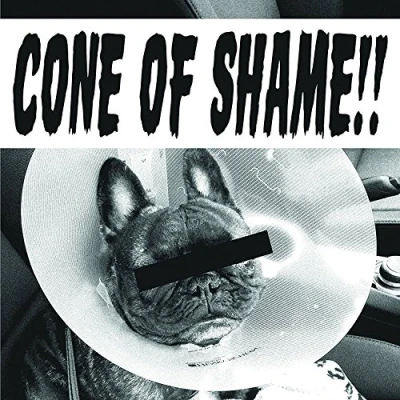Afbeelding van Faith No More Cone Of Shame (7&quot; Vinyl Single)