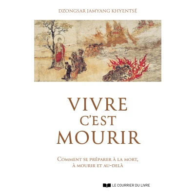 Afbeelding van Vivre c&#039;est mourir Comment se préparer à la mort, et au delà