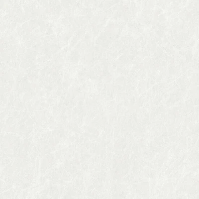 Afbeelding van Dutch Wallcoverings Tapestry TP422901 Linen White