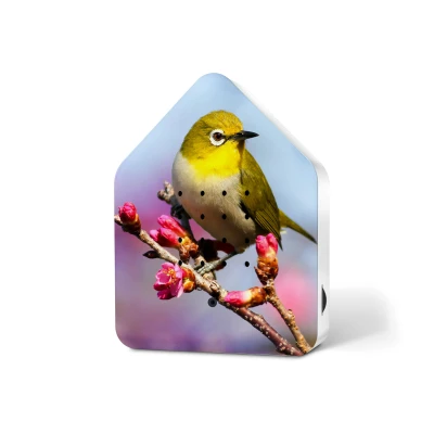 Afbeelding van Relaxound Zwitscherbox Specials Bewegingssensor Met Vogelgeluiden Silvereye Grijsrugbrilvogel 3,5x11x14,5cm Nice thingZ